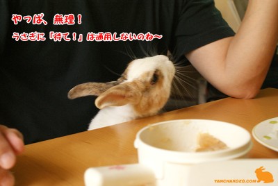 やっぱ無理