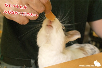 ちょっとしか・・・