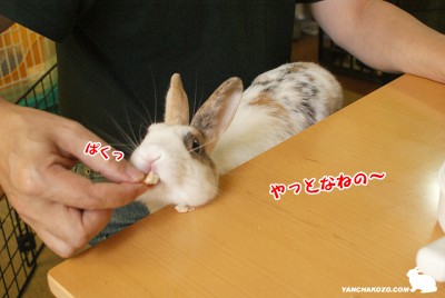 やっと・・・