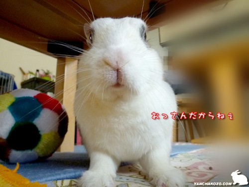 おっさんだけどね