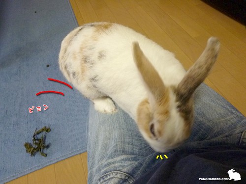 乗っかるぞっと