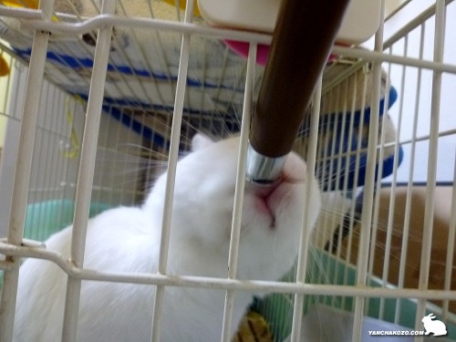 では…