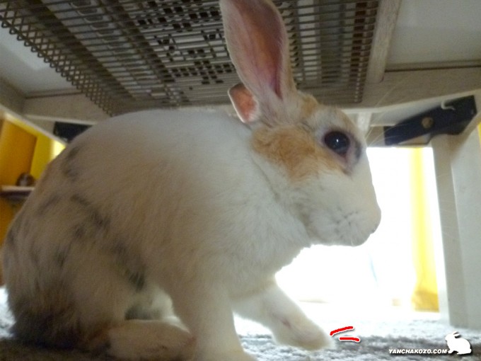 モグモグ中