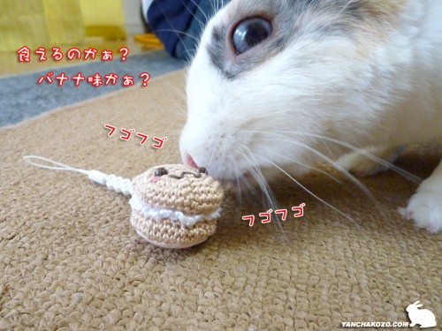 まだ嗅ぐ