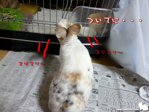 匂いも付ける