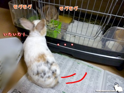 覗き