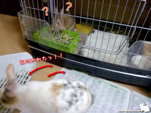 なになに?