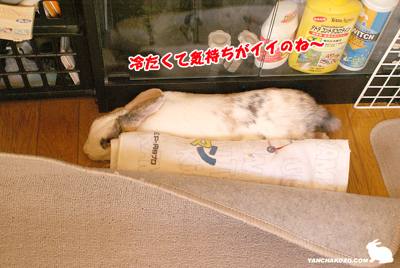 冷え~で気持ちイイ