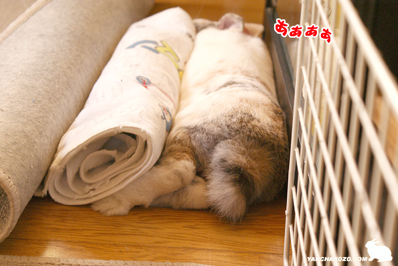 あぁぁぁ