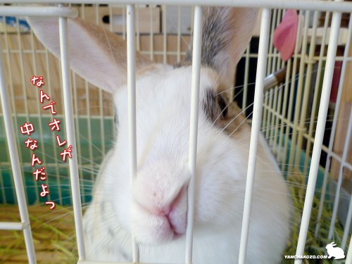 なんで、オレが！