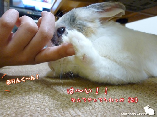 手を上げて返事