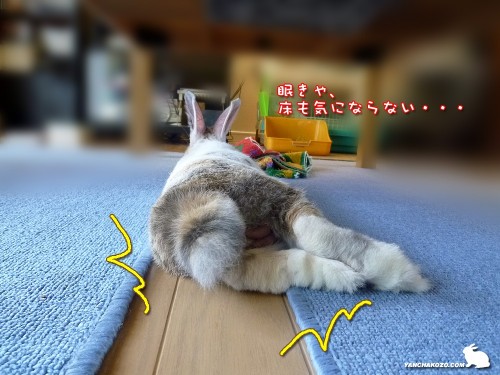 床も気にならない