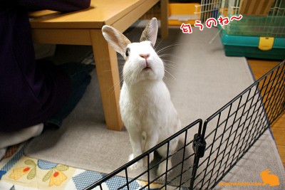 匂うのね~