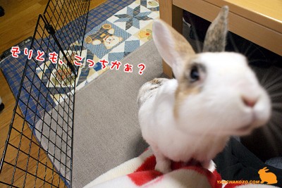 迫る