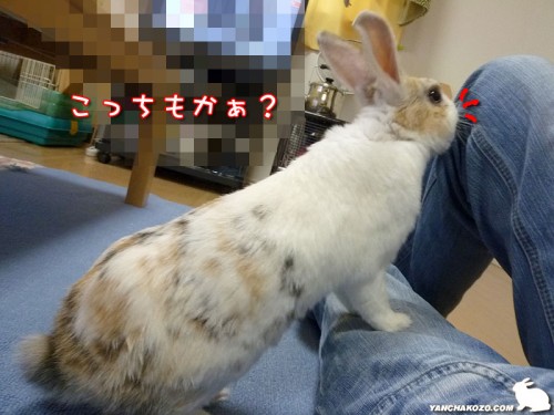 こっちもかぁ？