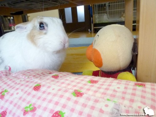 アンパンマンの役割