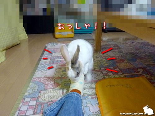 おっしゃ！