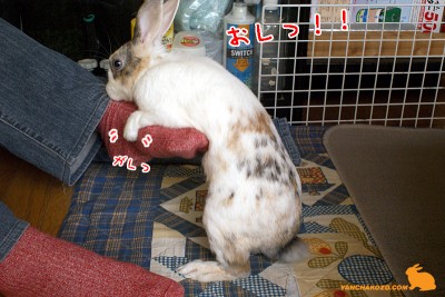おしっ!