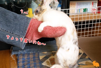 高過ぎ