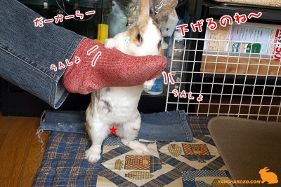 うんしょ