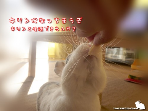 キリンになっちゃう