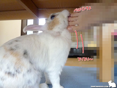 スリスリ～とペロ