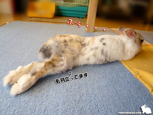 ふー