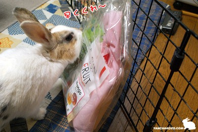 早くくれー