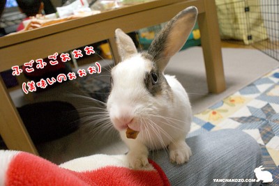 ふごふごぉぉぉ