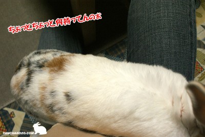 何持ってるのぉ?