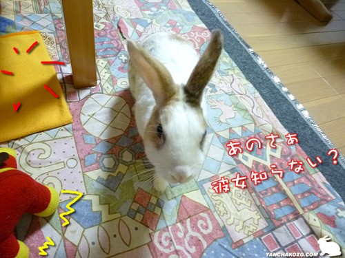 彼女知らない？