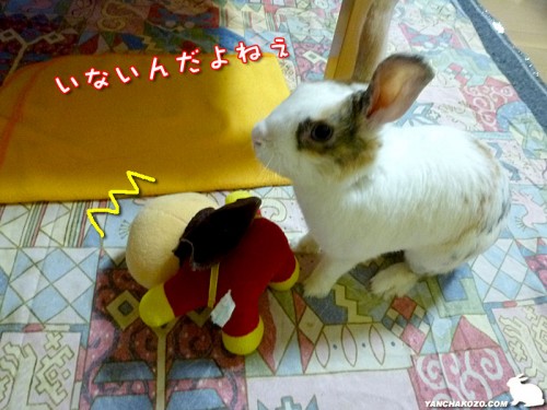 いないんだよね