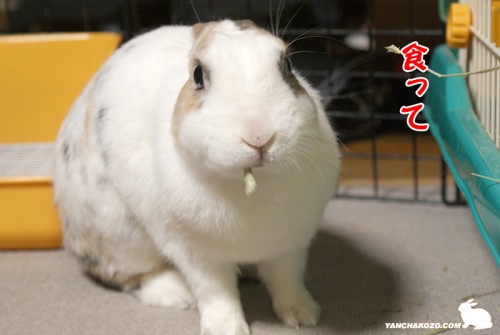 食って