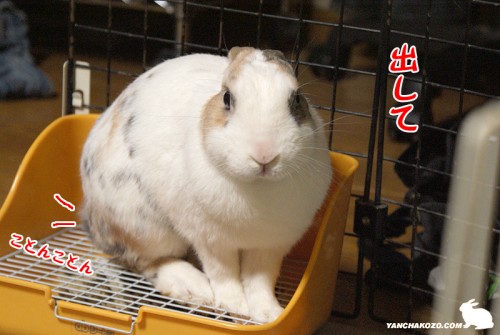 出して
