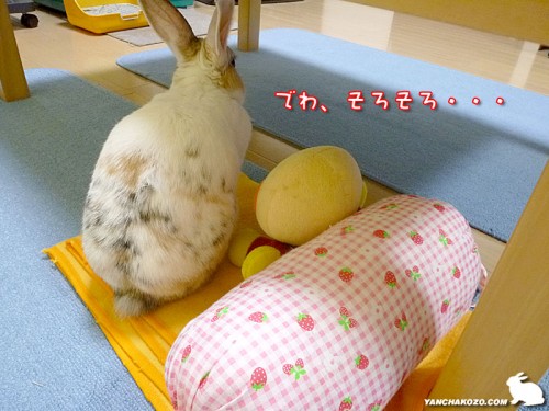 そろそろ・・・