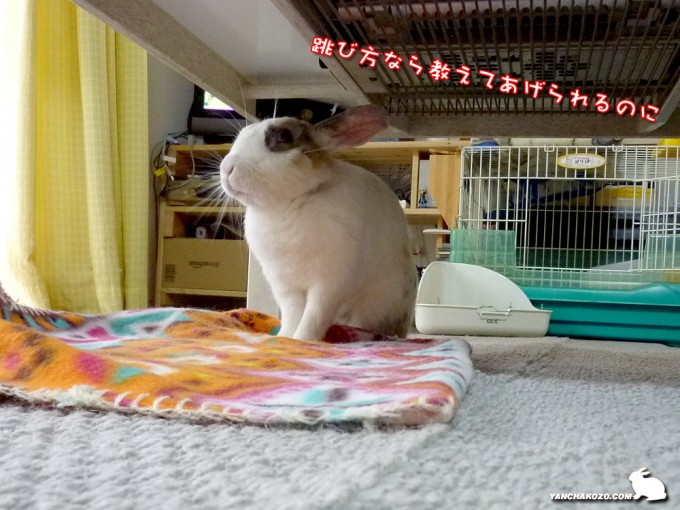 跳び方なら