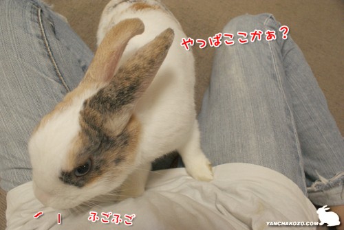 嗅いで分かる?