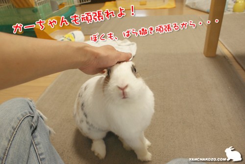 ぼくも頑張るから・・・
