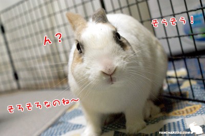 そろそろ・・・
