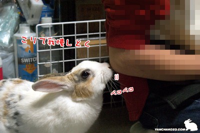 こりで我慢