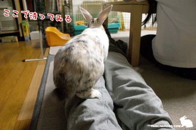 ここで待つ