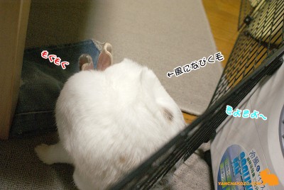 風に当たりながら・・・
