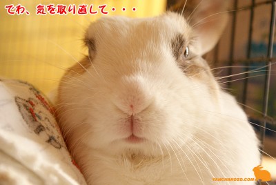 気を取り直して