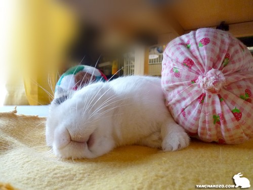 スヤスヤぷりん