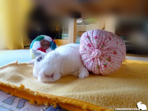 寝顔に有り難う