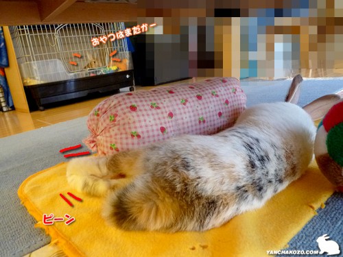 向こうで騒ぐもう一人