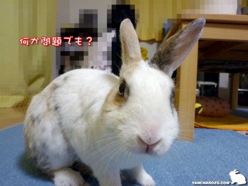 何か?