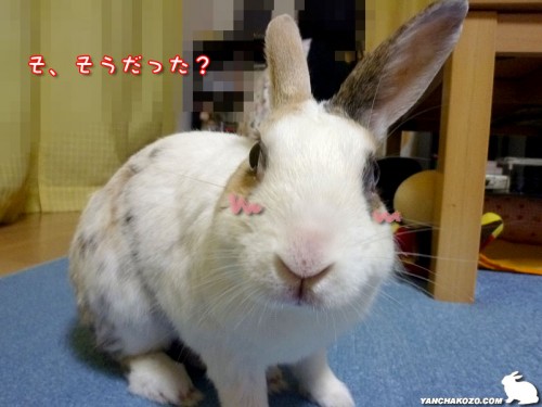 そ、そうだった?