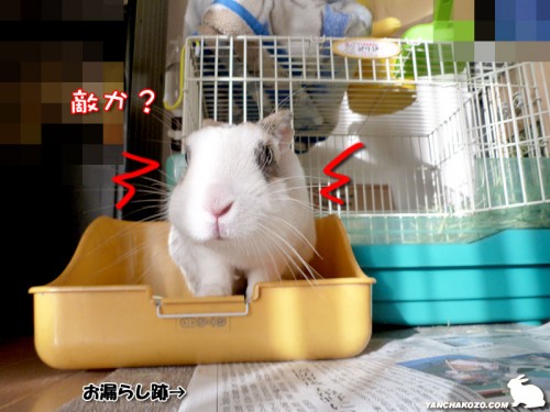 敵か?