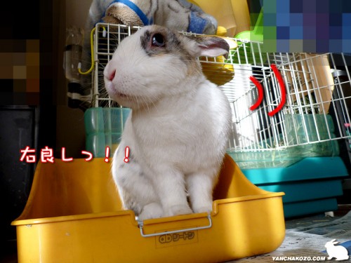 右良しっ